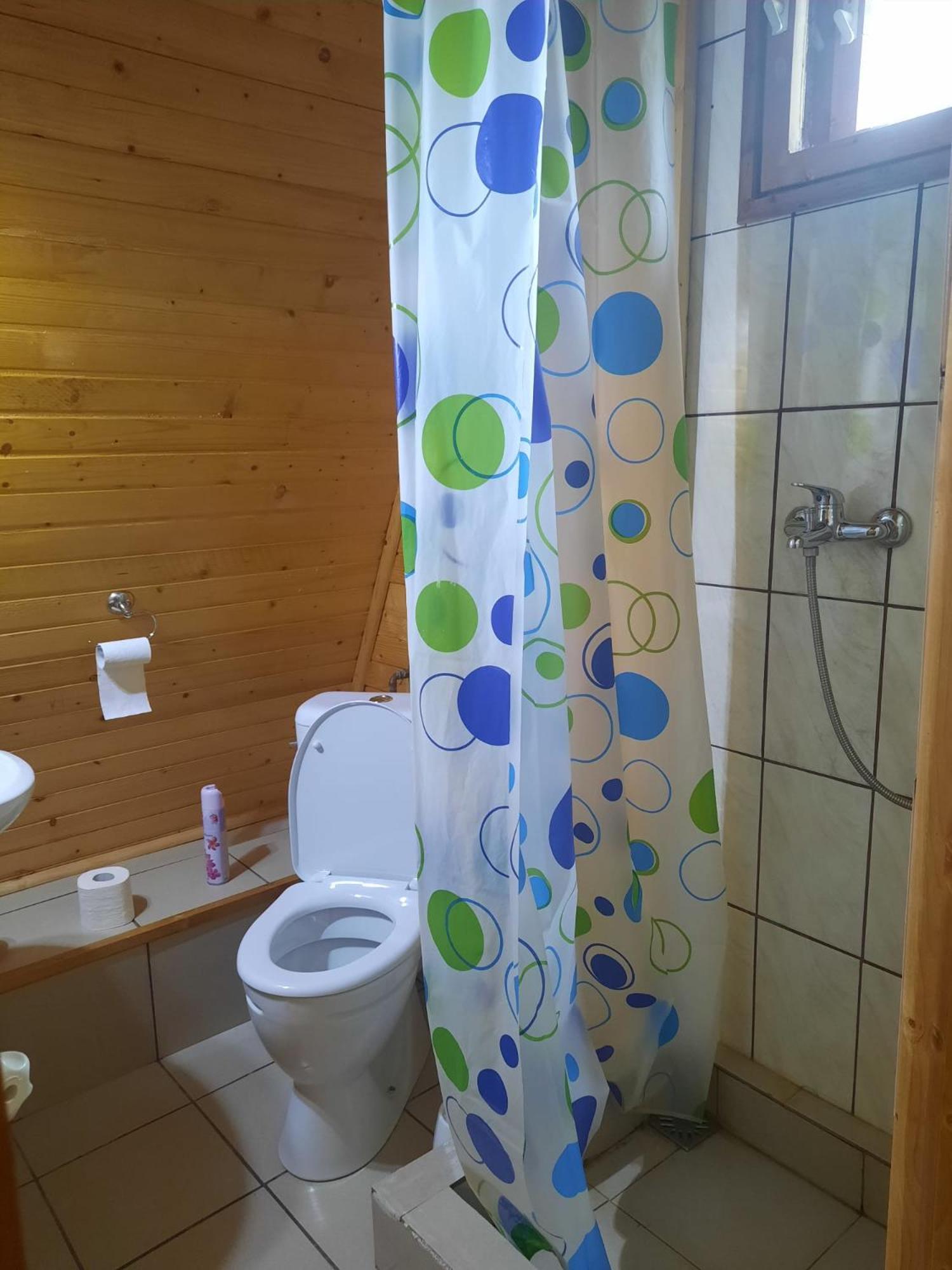 Cabanuta Dan & Alex Villa Cîrţişoara Exterior foto