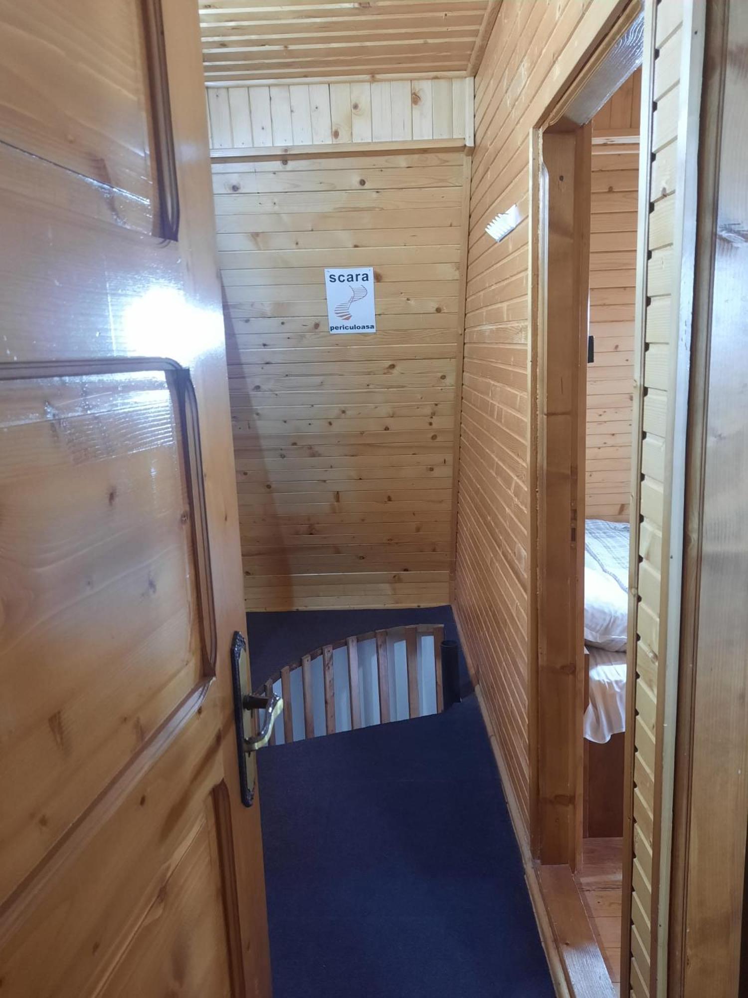 Cabanuta Dan & Alex Villa Cîrţişoara Exterior foto