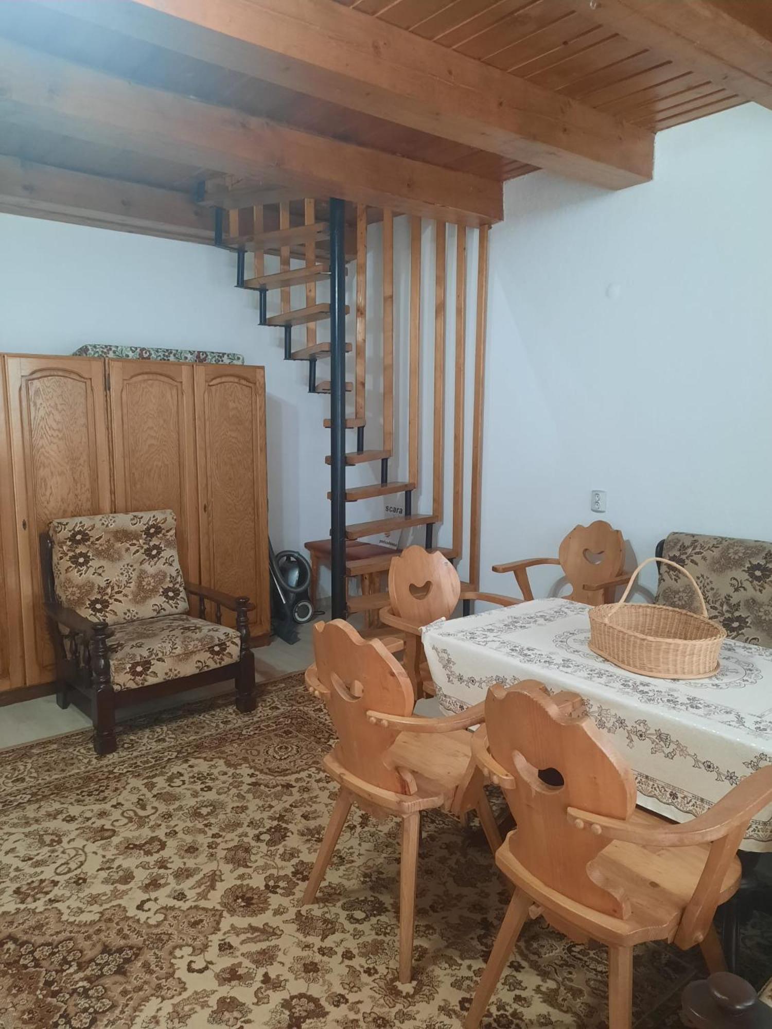 Cabanuta Dan & Alex Villa Cîrţişoara Exterior foto