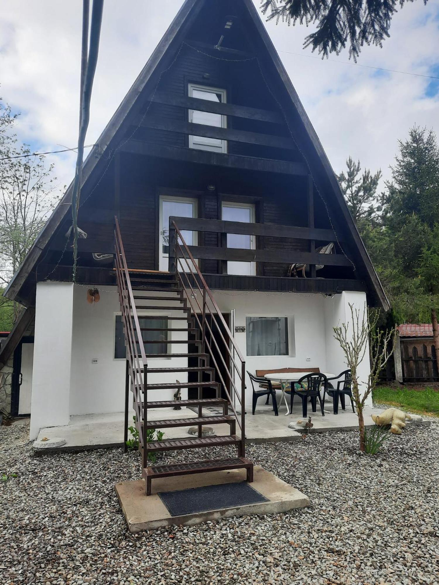 Cabanuta Dan & Alex Villa Cîrţişoara Exterior foto